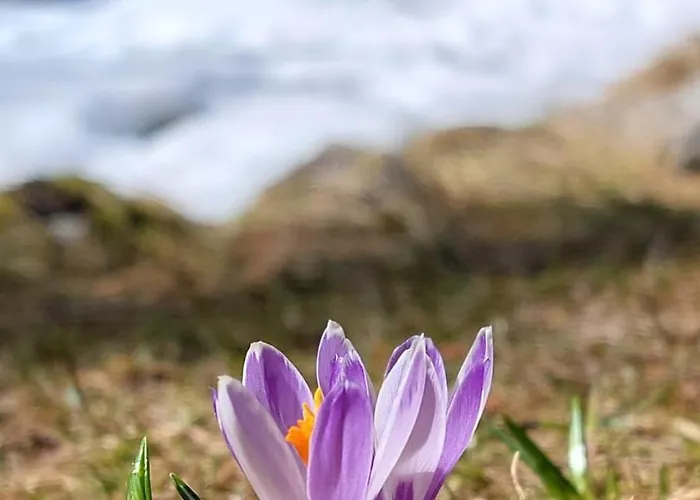 Stackler54 - Mit Garten Appartamento